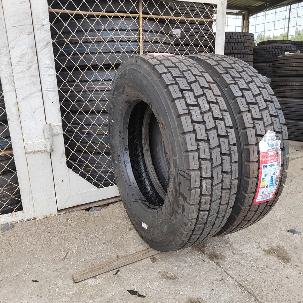 Пара грузовых шин R17.5 и R19.5